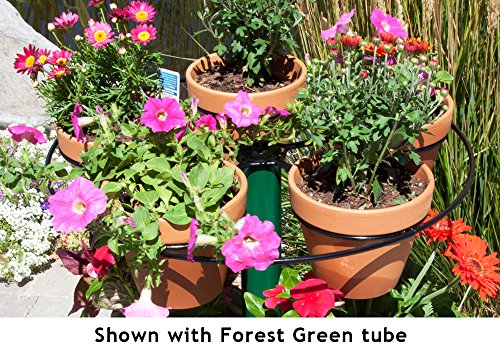 Ssdi Brushed Stainless Steel Plant Stand ~ Holds Five 6 Inch Pots ~ 20 Inch Height ~ Carrying Handle Included #TOP6