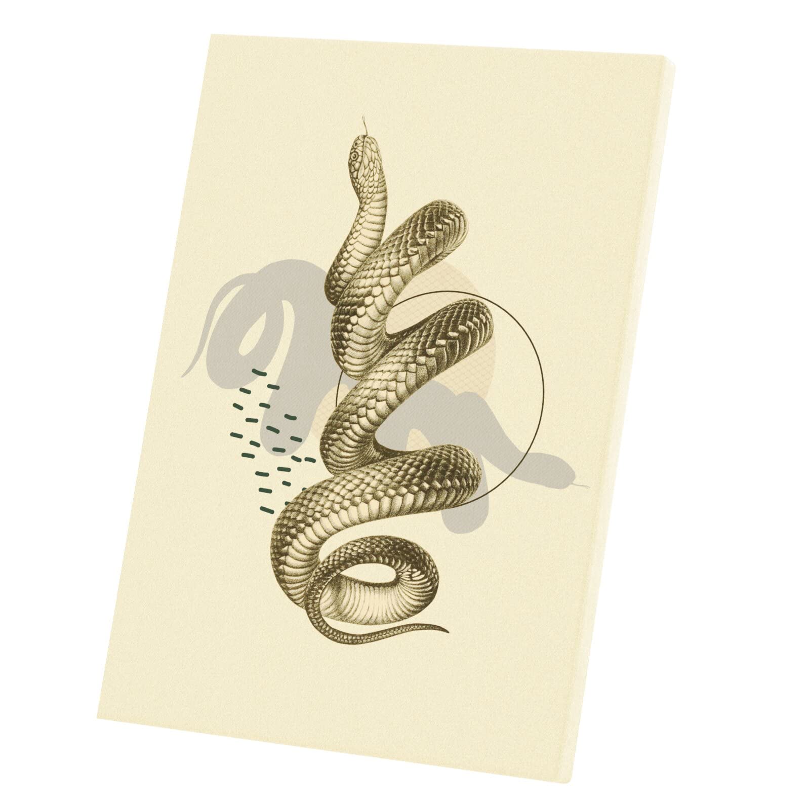 Illustration Serpent Noir Toile pour Murs Vides Affiche Biologie