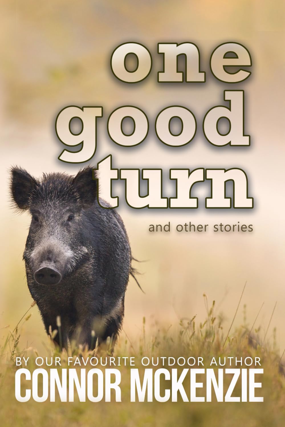 One Good Turn: Short stories about hunting in New Zealand (Right Place, Wrong Time)