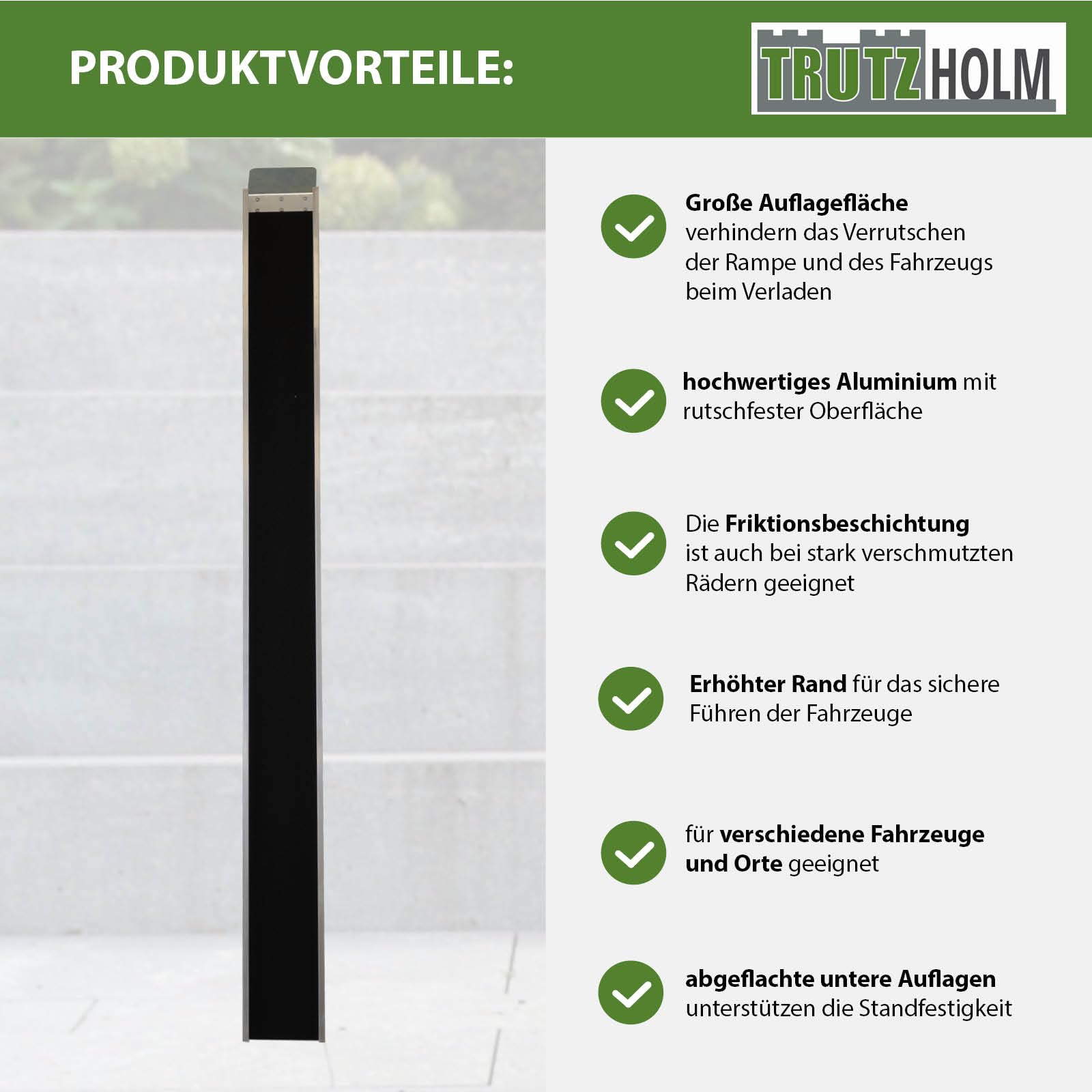 TRUTZHOLM 1x Auffahrschiene Alu Gesamtlänge 194 cm Traglast 50 kg Lauffläche mit Anti-Rutsch Beschichtung Verladeschiene für E-Bike Fahrrad Pedelec Treppenrampe Fahrradrampe Auffahrrampe Fahrrad
