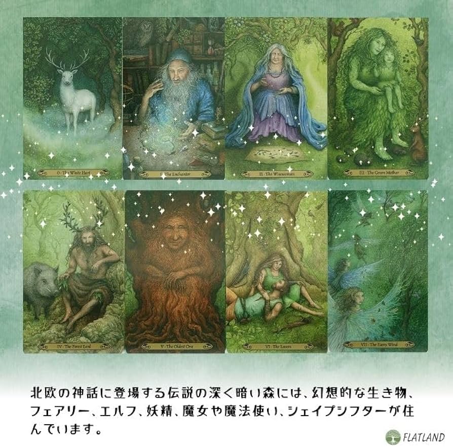 Amazon.co.jp: フォレスト オブ エンチャントメント タロット Forest