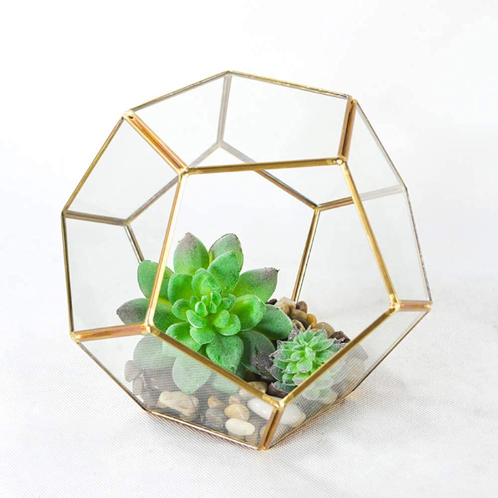 Amazon.co.jp: 植物ホルダー透明ガラス幾何学的テラリウムコンテナ