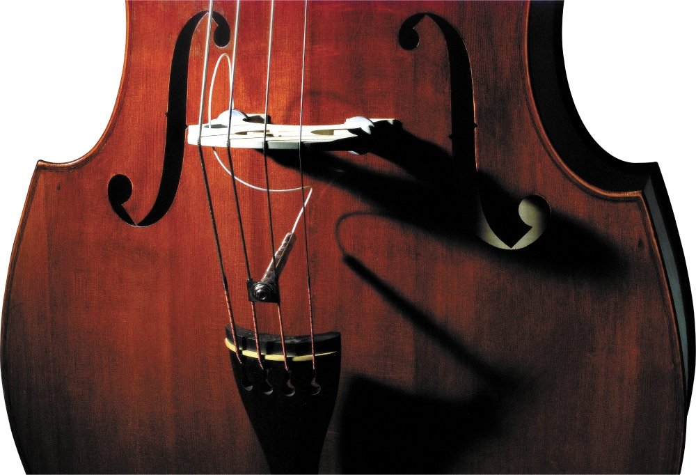 Amazon.com: Fishman Full Circle Upright Bass Pickup - UNC 1/4-20