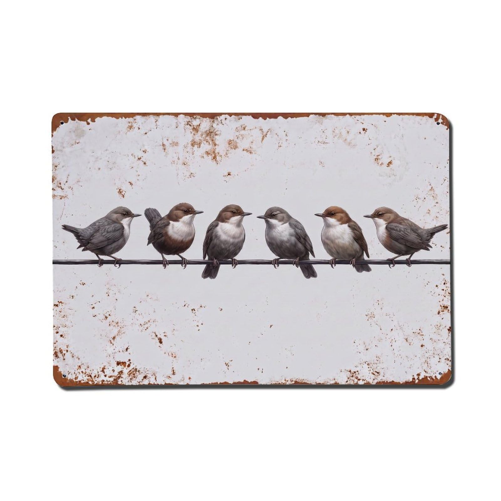 Vintage Retro Birds Dipper Metal Tin Sign