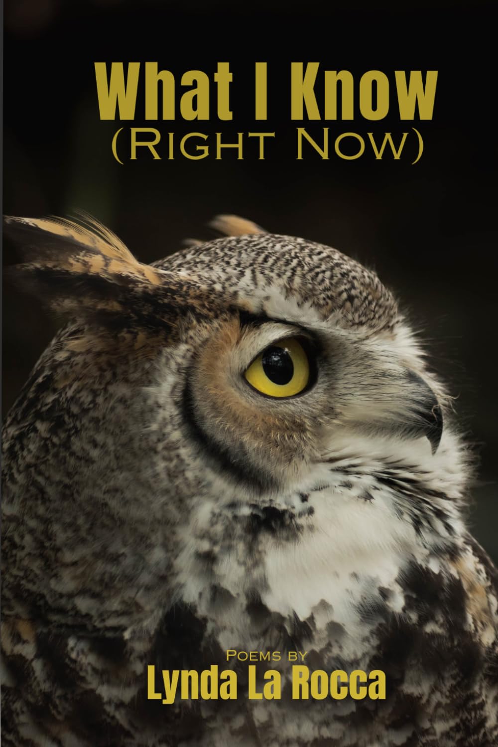 What I Know (Right Now)