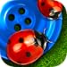 Bugs and Buttons