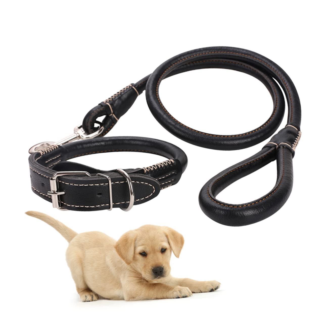 BESPORTBLE 3 Piezas Correa para Mascotas cinturón para Perros Correa de Cachorro Gargantilla Correa de Remolque Mascota tirando de la Cuerda Suministros de Mascotas Perros y pequeños