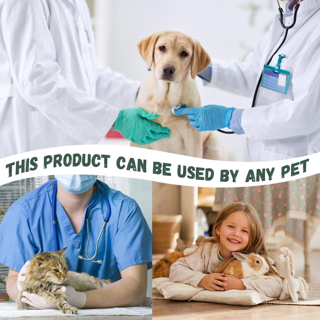 2 Pièces Pince A Tique Set, Crochet Tique Pour Éliminer Nymphes Et Tiques Adultes, Pince A Tique Pour Chien, Chats Et Autres Animaux