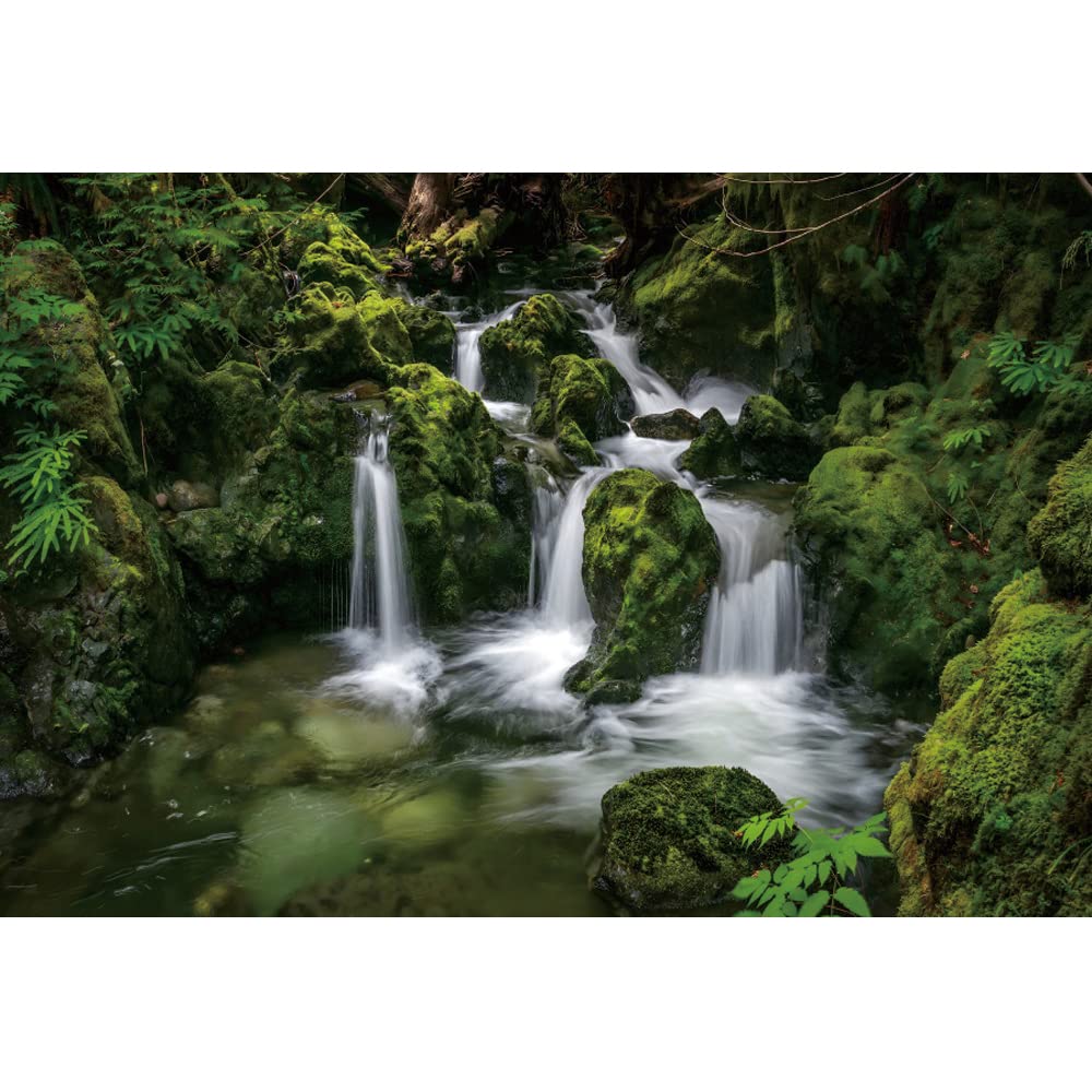300x250cm Cascada telón de Fondo cañón Verde Musgo Piedra Fondo de Pared Selva Selva Bosque Paisaje fotografía Fondo para Estudio Retrato fotografía Accesorios