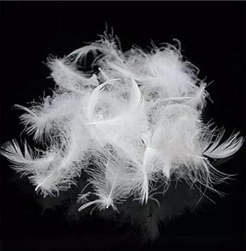 Bulk Goose Down Feather Stuffing & Fill Hypoallergenic Pillow Filling, Repair, Restuff, Fluff for Couch Cushions, Comforters, Jackets5/95-1Lb DIY