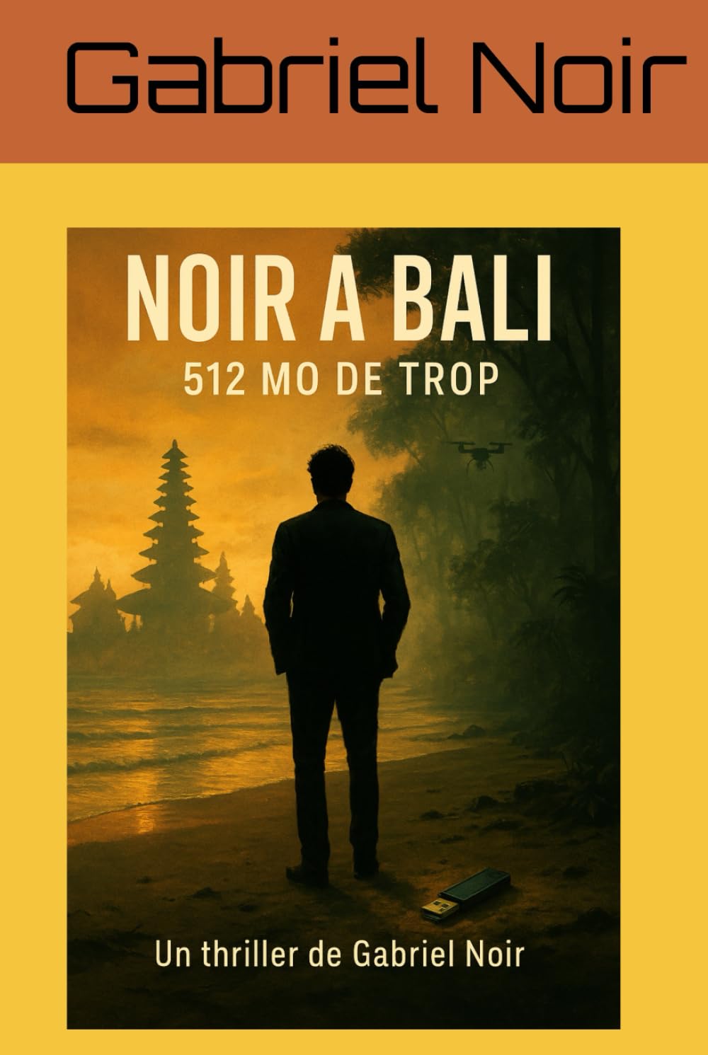 Noir à Bali: 512 Mo de trop (Les enquêtes secrètes de Gabriel Noir)