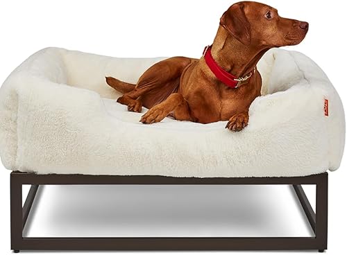 Miniatura 24 de FUZI Cama elevada para perro pequeña, camas elevadas de lujo, funda de cama extraíble y lavable a máquina, cama ortopédica para interiores y Gris