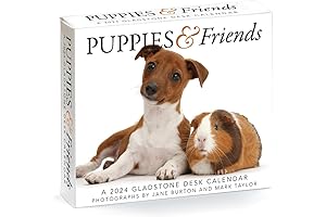 Gladstone Media Puppies and Friends 2024 Daily Dog Calendar
