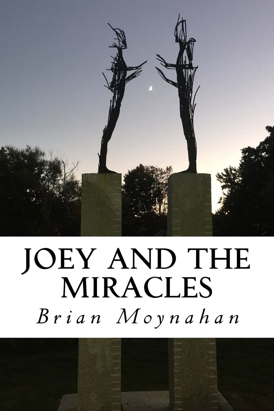 Buy Joey and the Miracles — BookShops.in