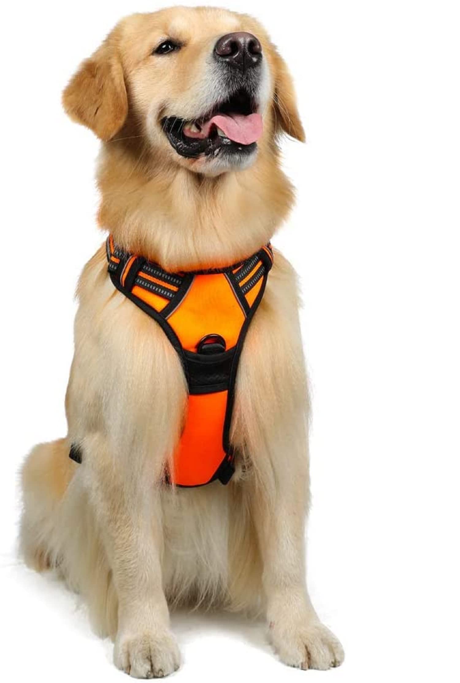 Emily Pets Dog Harness,Upgraded Easy Put on & Off No Choke Pet Harness with 2 Leash Clips,Adjustable Soft Padded Dog Vest,Reflective Outdoor Pet Oxford Vest with Easy Training Control Handle(XL,Orange)
