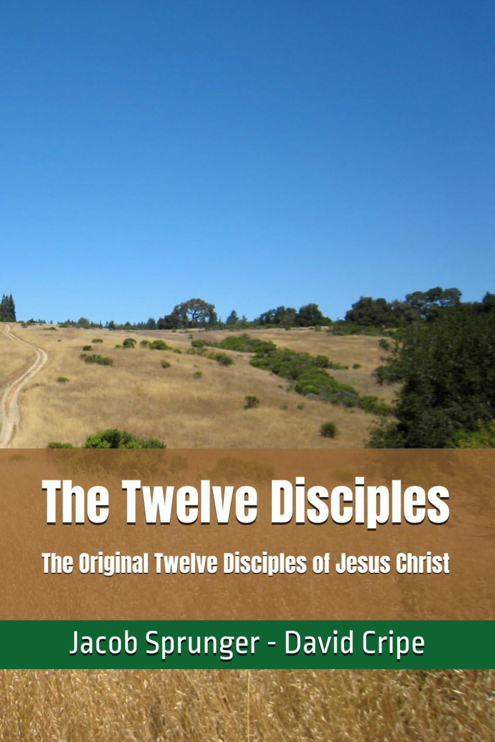 The Twelve Disciples: The Original Twelve Disciples of Jesus Christ
