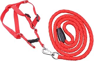 Housoutil Hundezubehör Red Pet XXL Traktionsgurt Bequemer Und Heller Tierbedarf Outdoor Walking product image