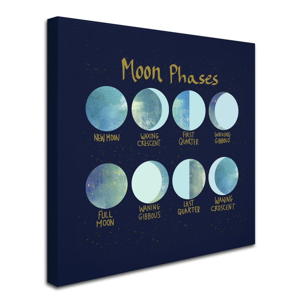 「MOON.」CLARITY ART Silver Pink Moon, Art Print | CreativeIngrid