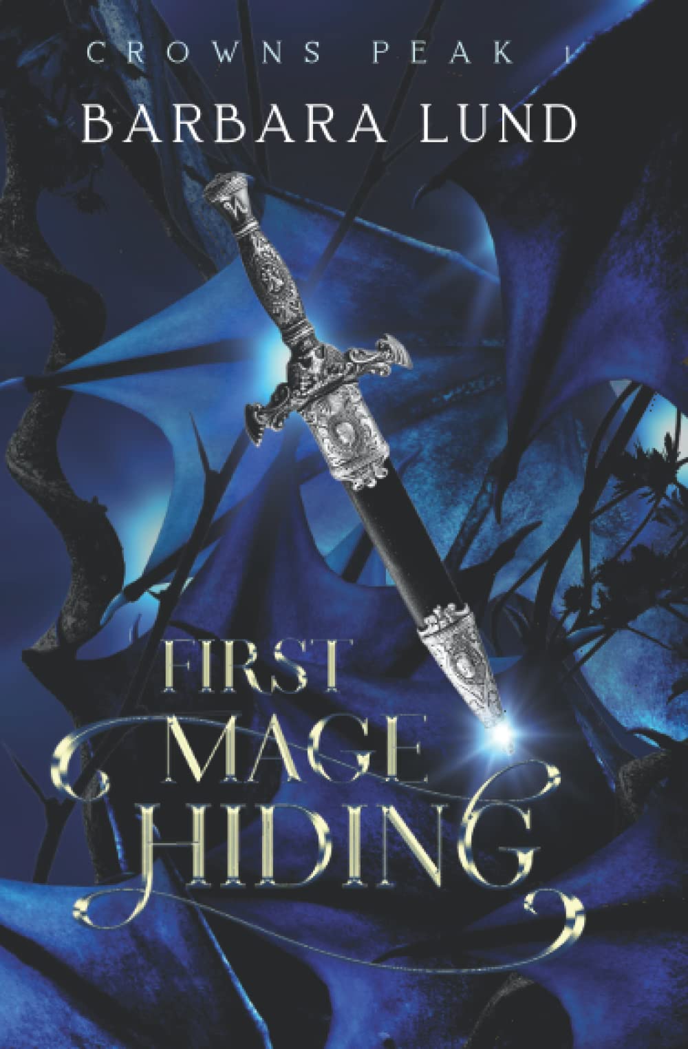 Cover of First Mage Hiding