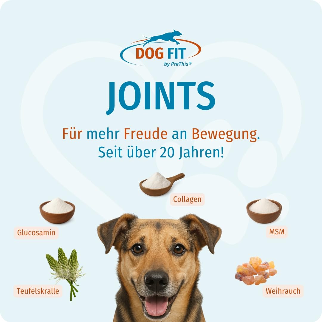 DOG FIT by PreThis® Joints für Hunde I Mit Glucosamin, MSM, Kollagen, Teufelskralle & Weihrauch I Ohne Zusätze I Large ab 25kg