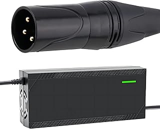 54.8V 4A Charger Electric Bike Charger 48V 16S LiFePO4 Battery Charger 48V XLR Charger 48V Scooter/E-Bike/Boat/Motorcycle Battery Charger 48V Battery Charger