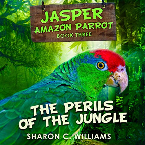 Power-Up With The Heart-Pounding Full Audiobook Now, Busy Professionals!