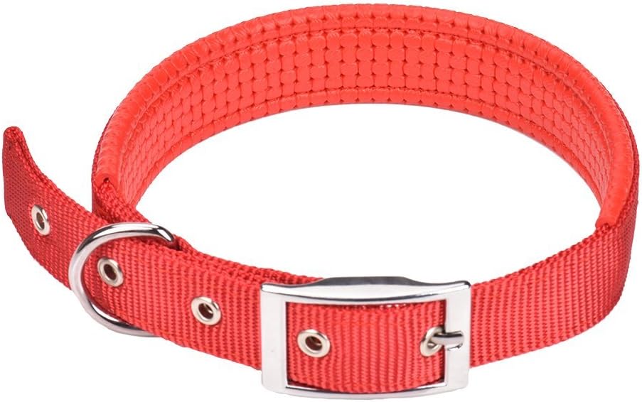 Cuello de Perro Cómodo Cuello de Perro Ajustable con Hebilla fácil Nylon Fuerte Cuello de Perro Relleno Cuello de Mascota para Perros pequeños/medianos/Grandes,Collares básicos,Cuello 12