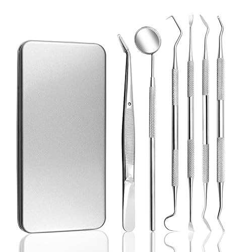 Juego de 5 palillos de dientes portátiles de acero inoxidable