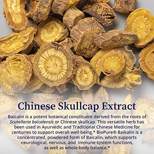 Biopure Baikalin Powder - Baiscalin Herb Extract From Roots Of Chinese Skullcap To Support Neurological, Nervous, & Immune System, Stress Management, And Whole Body Balance And Wellness – 50G #TOP4