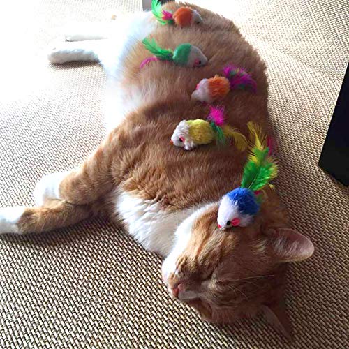 M JJYPET Interactive Cat Kitten Toys Assortments(30 Packs) 2 Way Tunnel, Cat Ball Toys Assortments,Rainbow Ball, Crinkle… - Image 6