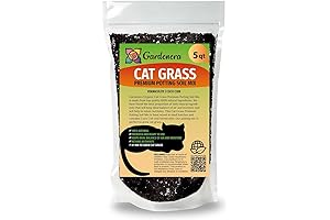 Cat Grass Growing Mix: Nurture Your Cat's Cravings Indoors