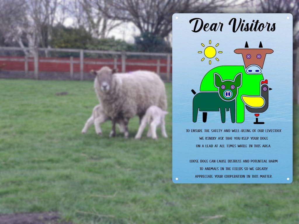 A4 UV Printed Livestock Safety Sign - Keep Dogs on Lead, Blue, 297 x 210 mm - Image 3