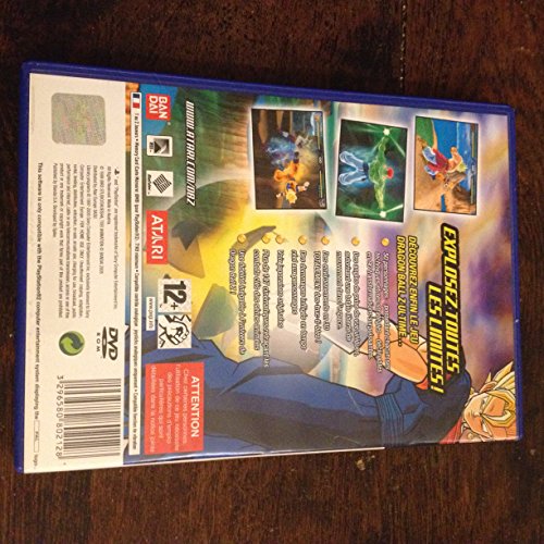 DRAGON BALL Z BUDOKAI TENKAICHI - vue 5