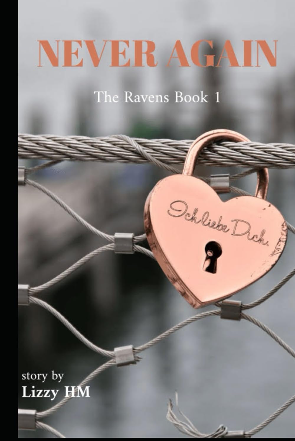 Never Again: The Raven's book1 (The Ravens MC)