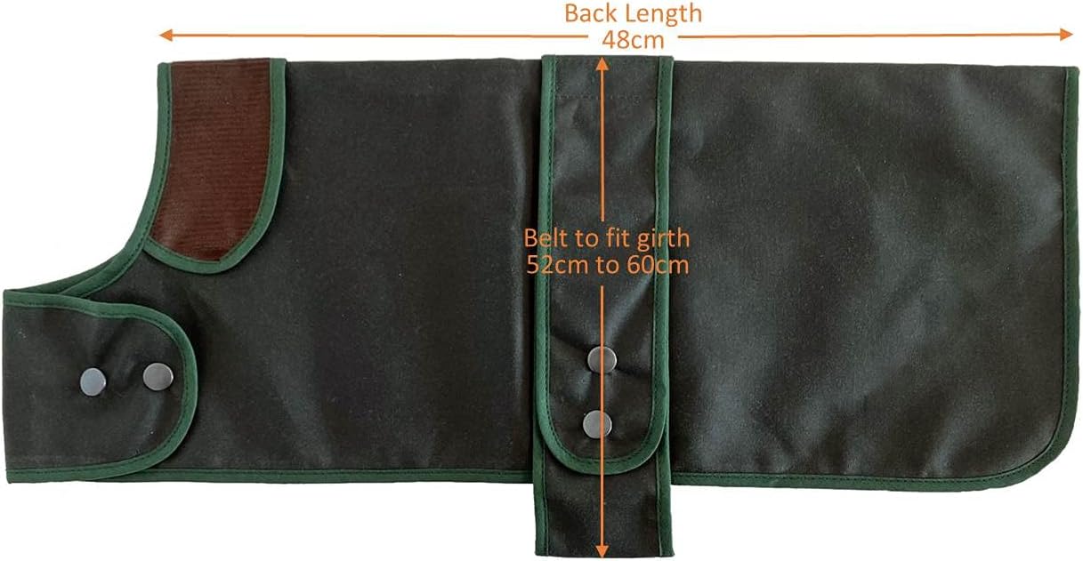 Cosipet Dachshund Hunter coat 19" (48cm) Green - Image 5