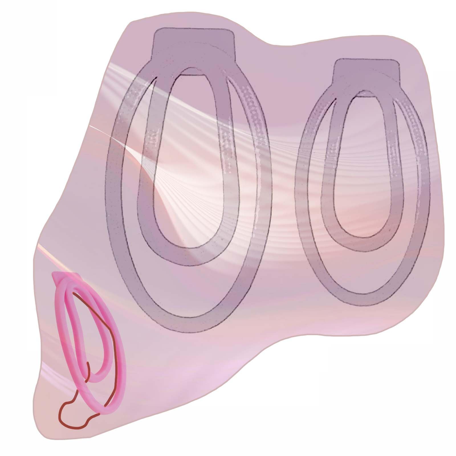 2 Sizes Male Lightweight Resin Protection Clips, Protection Cage Accessories Set for Sissy Men -A18US (White)