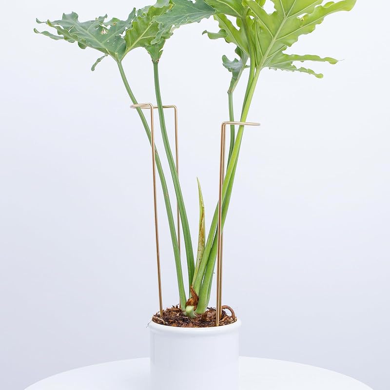 10 PCS Large Indoor Plant Stakes 15.5" Heavy Duty Metal Supports | Plant Supports for Outdoor & Indoor Plants, Durable Stem Holders & Monstera Trellis, Gardening Gifts for Plant Lovers