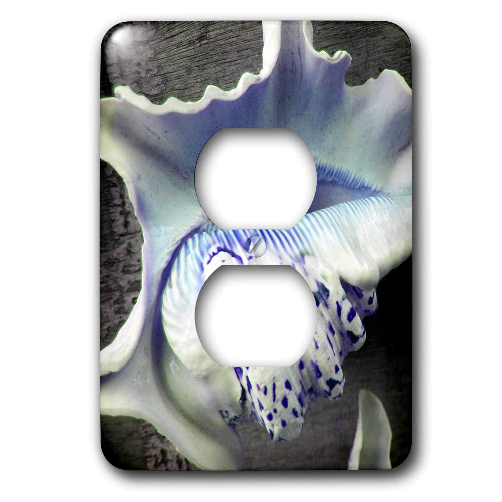 Coquillages bleus et violets luxueuse plaque décorative 2 prises par 3dRose