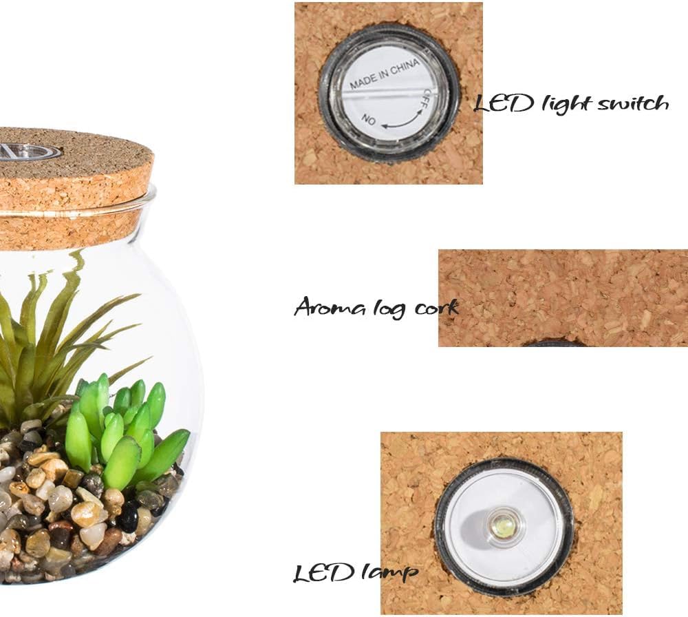 Sztuczne Doniczki Do Terrarium Succulet I Marimo Z Białym światłem Led Cork Desig Miiature Fake Plats Faux Cactus Potted Bosai Idoor Desktop Decor Do Sypialni Gabinet, Clear 2, 10.5cm*11.9cm(D*H)