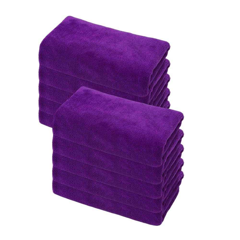 Microfasertuch 10 Stück Reinigungstuch Weiches Tuch Allzwecktücher Auto Poliertuch Saugfähiges Putztücher Wipes Lappen Fusselfrei Trockentuch für Küche Haus Motorrad Boot 30 * 60cm【400g/㎡】