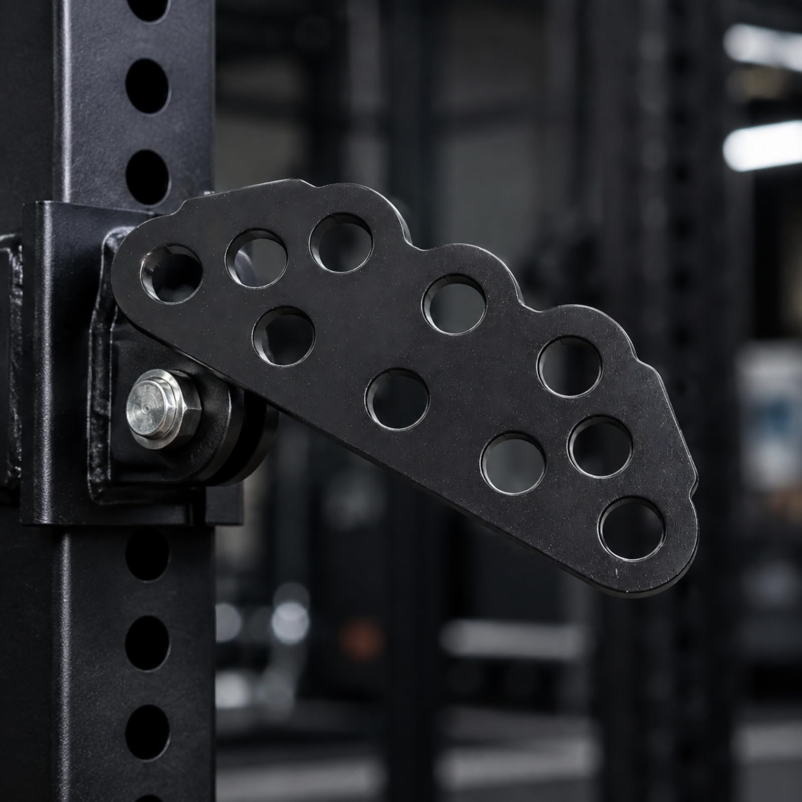 Sharplace Placa Conexión para Poleas Resisn | Multiorificios, Reforzado, Placa Polea con Mosquetones, para Gimnasio en Casa, Eniastas