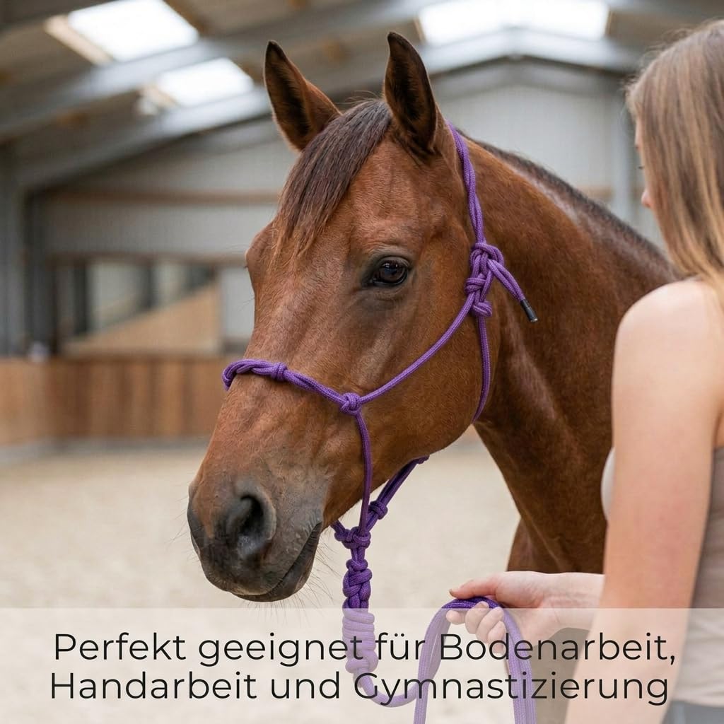Knotenhalfter Pferd, Trainingshalfter aus stabilem Seil, Rope Halfter Bodenarbeit, verstellbar, Pferdehalfter Pink Lila (Lila, Vollblut (Cob))