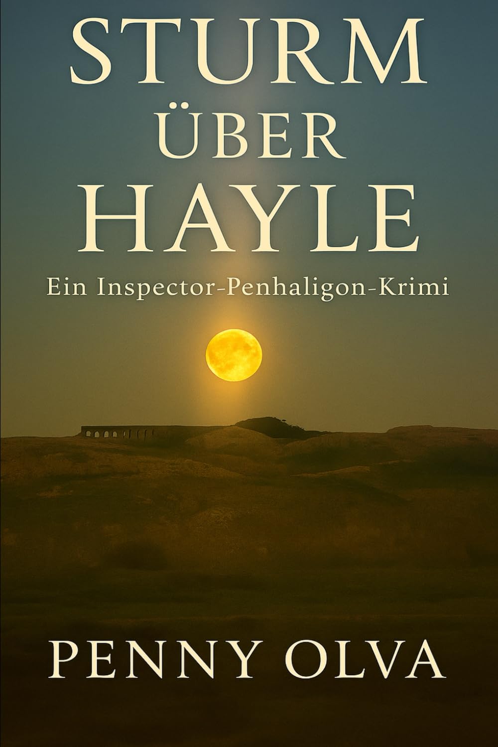Sturm über Hayle: Ein Inspector-Penhaligon-Krimi
