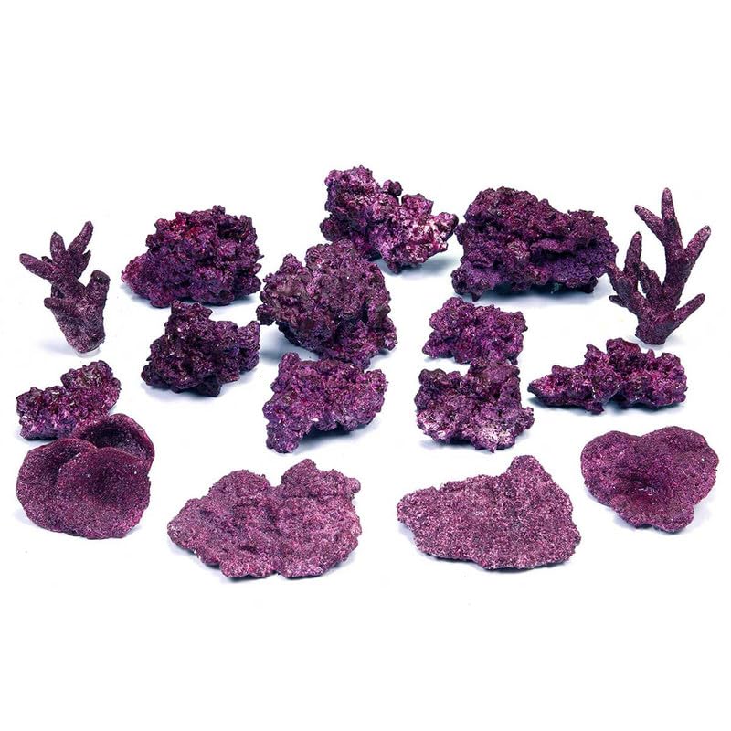 Real Reef Reef Box (Random 16-18 pcs)