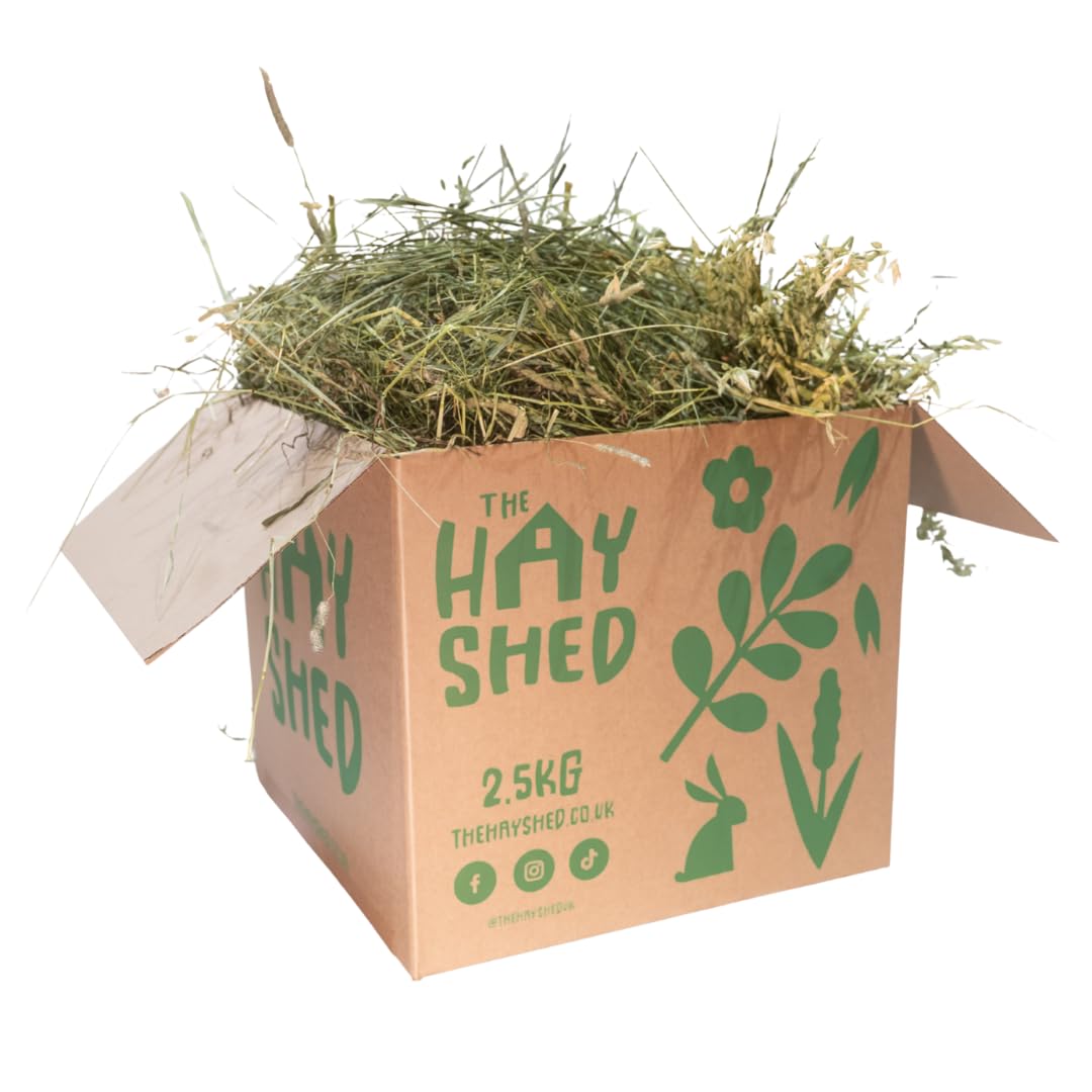 The Hay Shed Premium Oat & Timothy Hay Box Blend – Natural Edible Foraging Food - Long Stem Eating Grass for Small Pets – Rabbits, Guinea Pigs, Chinchillas - Barn Dried, Dust Free, High Fibre