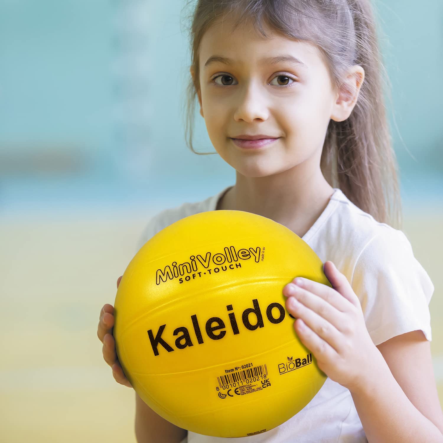 Monde Sports Volley Game Ball