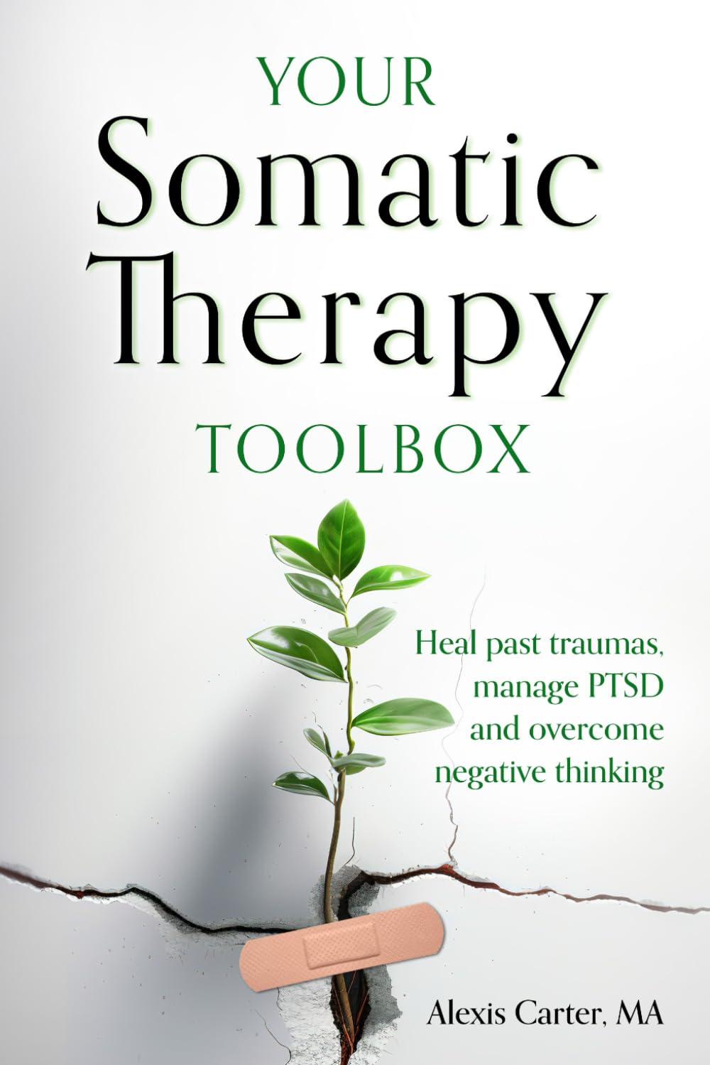 Your Somatic Therapy Toolbox: Heal Past Traumas, Manage PTSD, and Overcome Negative Thinking