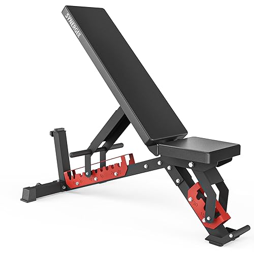 Synergee Adjustable Wing Back Workout Bench. Weight Bench for Dumbbell