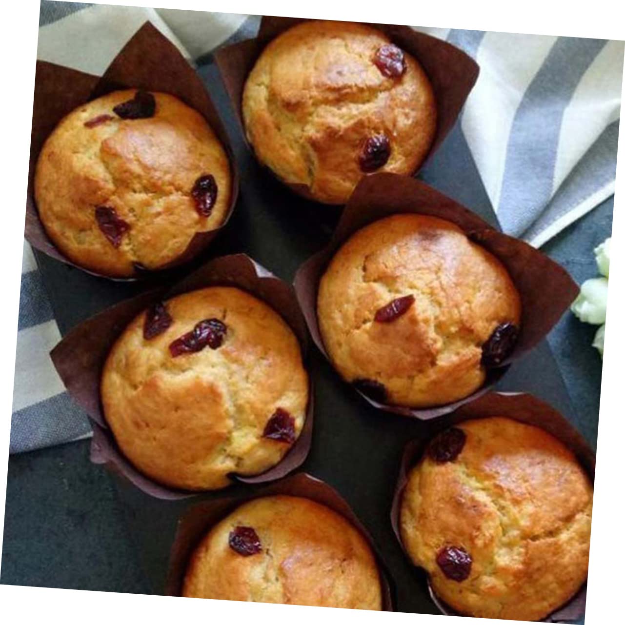 Mikinona 450 Pz torta di tulipani porta muffin fodere per muffin a tulipano tazza coppa per torte Capsula per fodere per dolci teglia a o pirottini per cupcake Carta