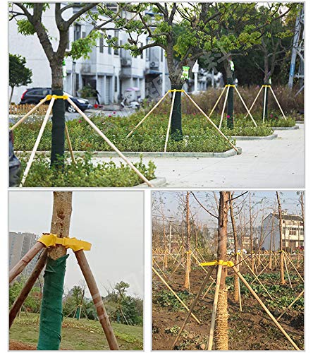 Tree Stake Kit Adjustable Plastic Support Staking for Young Tree Protection (TreeΦ=3in一6in)